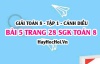 Giải bài 5 trang 28 Toán 8 Tập 1 SGK Cánh Diều